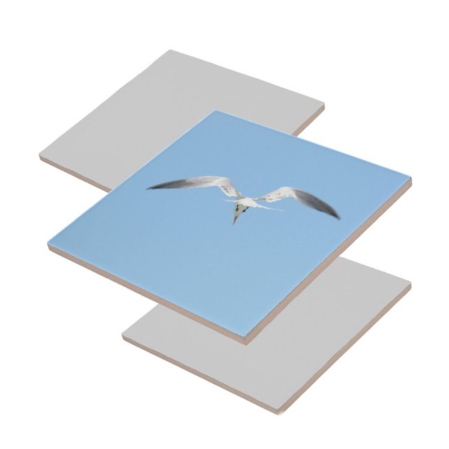 Azulejo De Cerâmica Real Tern no voo Coastal Blue (1 of 7 coordinating coastal Terns in flight ceramic tiles)