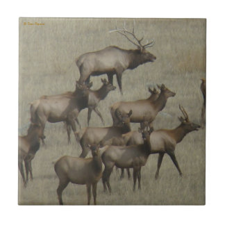 Azulejo De Cerâmica Rebanho de Alces E37