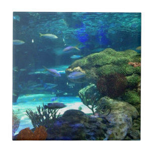 Azulejo De Cerâmica Recife de coral mágico