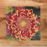 Azulejo De Cerâmica Red and Yellow Incurve Chrysanthemum Floral<br><div class="desc">Ceramic tile that features the colorful photo image of a red and yellow,  incurve chrysanthemum flower. A lovely,  floral design! Select your tile size. Makes a pretty kitchen trivet!</div>