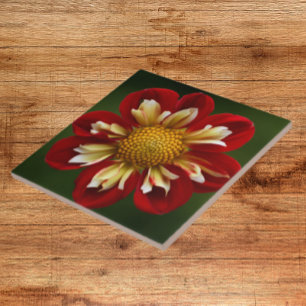 Azulejo De Cerâmica Red Dahlia sobre Floral Verde