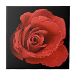 Azulejo De Cerâmica Red Drama Rosa
