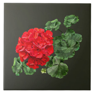 Azulejo De Cerâmica Red Geranium brilhante