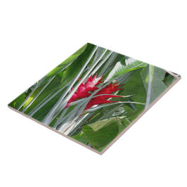 Azulejo De Cerâmica Red Ginger