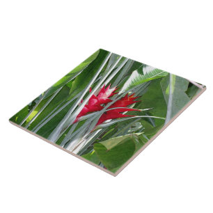 Azulejo De Cerâmica Red Ginger