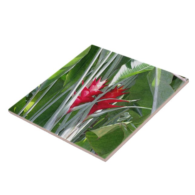 Azulejo De Cerâmica Red Ginger (Lateral)