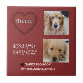 Azulejo De Cerâmica Red Halo Pet Remembrance