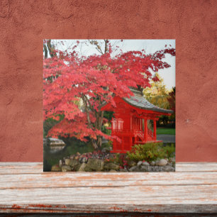 Azulejo De Cerâmica Red Japan Maple e Garden Shrine