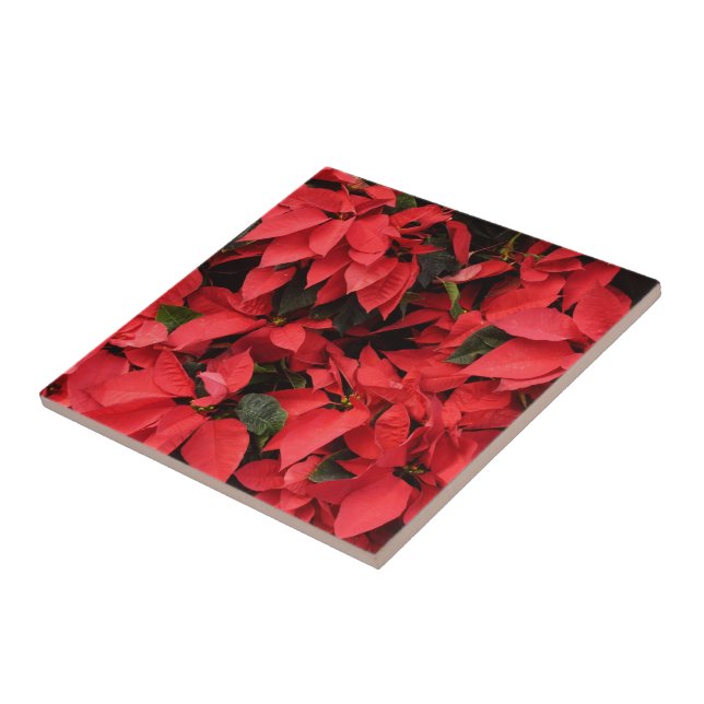Azulejo De Cerâmica Red Poinsettias II Feriado de Natal Floral (Lateral)
