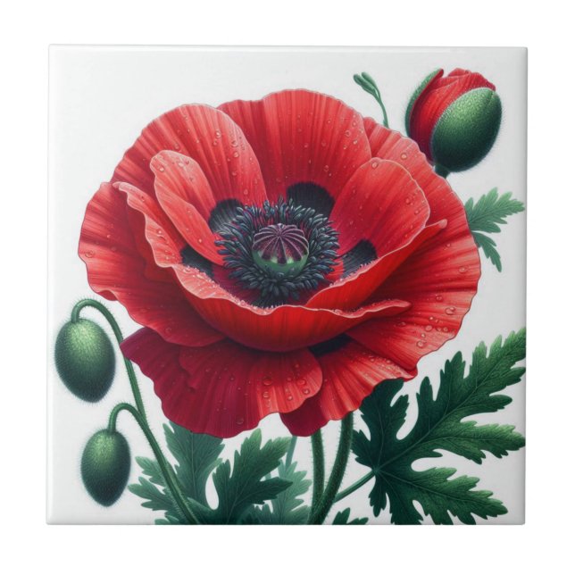 Azulejo De Cerâmica Red Poppy Floral (Frente)