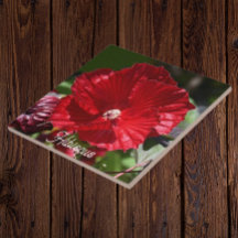 Red Swamp Hibiscus Bloom Floral