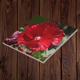 Azulejo De Cerâmica Red Swamp Hibiscus Bloom Floral