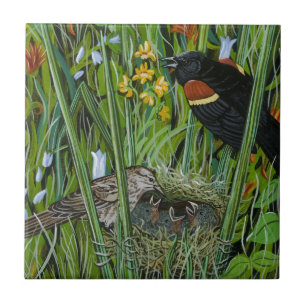 Azulejo De Cerâmica Red Wing Blackbird