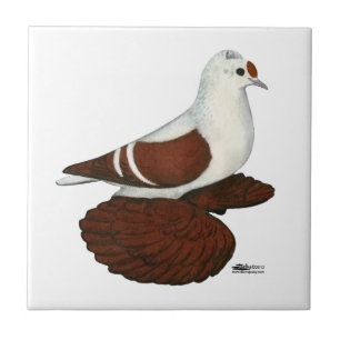 Azulejo De Cerâmica Red Wing Pigeon