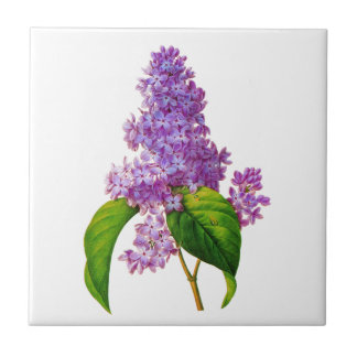 Azulejo De Cerâmica Redoute Lilacs