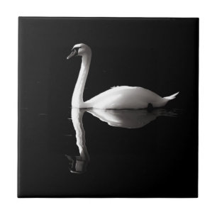 Azulejo De Cerâmica Reflexão Do Cisne Branco Elegante No Lago Negro