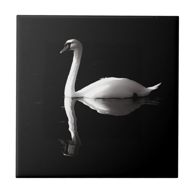 Azulejo De Cerâmica Reflexão Do Cisne Branco Elegante No Lago Negro (Frente)