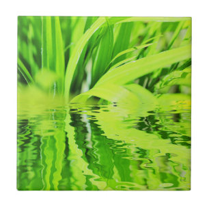 Azulejo De Cerâmica Reflexão sobre Grama Verde Brilhante Super Positi