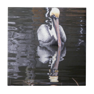 Azulejo De Cerâmica Reflexo Pelicano