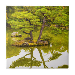 Azulejo De Cerâmica Reflexões