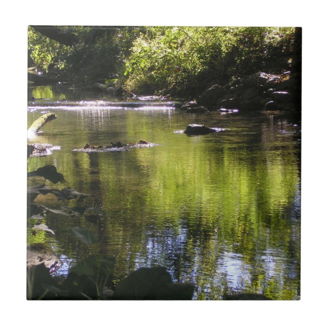 Azulejo De Cerâmica Reflexões (Frente)