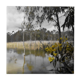 Azulejo De Cerâmica Reflexões Por Baixo Do Céu Da Cinza