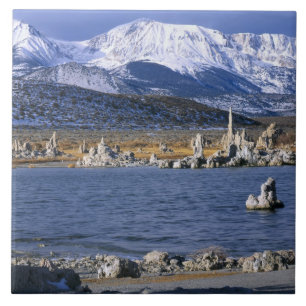 AZULEJO DE CERÂMICA RESERVA NATURAL ESTADUAL DE TUFA DO LAGO MONO,