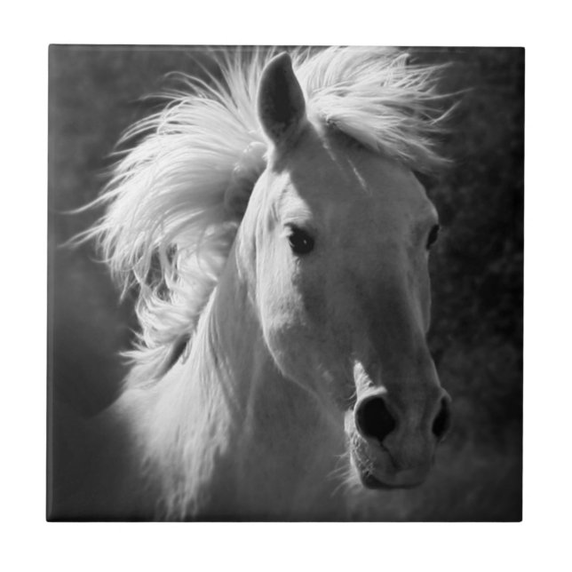 Azulejo De Cerâmica Retrato Cavalo V (Frente)