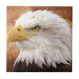 Azulejo De Cerâmica Retrato da águia americana