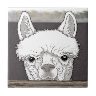 Azulejo De Cerâmica Retrato de Alpaca