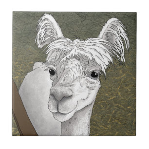 Azulejo De Cerâmica Retrato de Alpaca 2