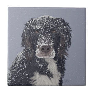 Azulejo De Cerâmica retrato de animal de estimação mestiço de spaniel