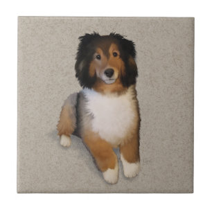 Azulejo De Cerâmica retrato de cão mestiço Sheltie
