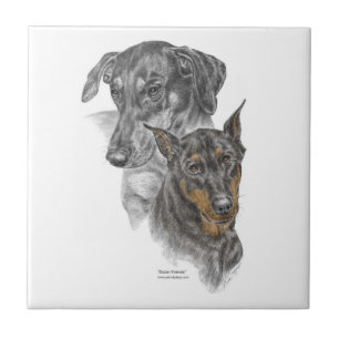 Azulejo De Cerâmica Retrato de Dois Dobermans