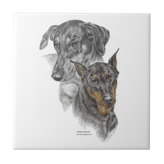Azulejo De Cerâmica Retrato de Dois Dobermans (Frente)