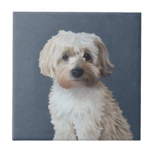 Azulejo De Cerâmica retrato de estimação de cachorro Shorkie