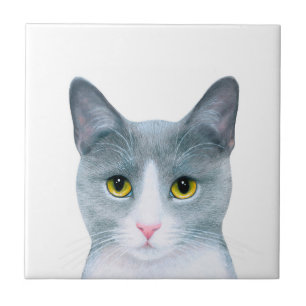 Azulejo De Cerâmica Retrato de Gato Cinza 611