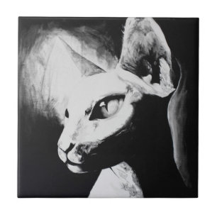 Azulejo De Cerâmica Retrato de Gato Sphynx Preto Branco Contraste Arte