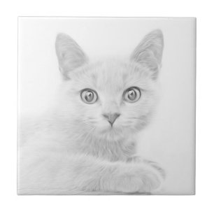 Azulejo De Cerâmica Retrato de Kitten SUPER CUTE