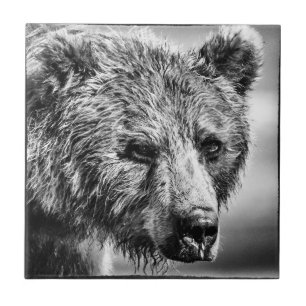 Azulejo De Cerâmica Retrato de urso pardo