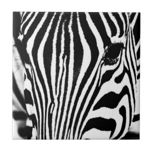 Azulejo De Cerâmica Retrato de zebra preto e branco