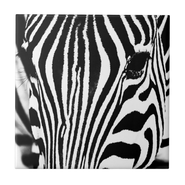 Azulejo De Cerâmica Retrato de zebra preto e branco (Frente)