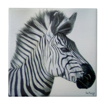 Retrato de Zebra Preto e Branco