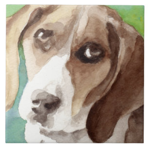 Azulejo De Cerâmica Retrato do Beagle com aquarela