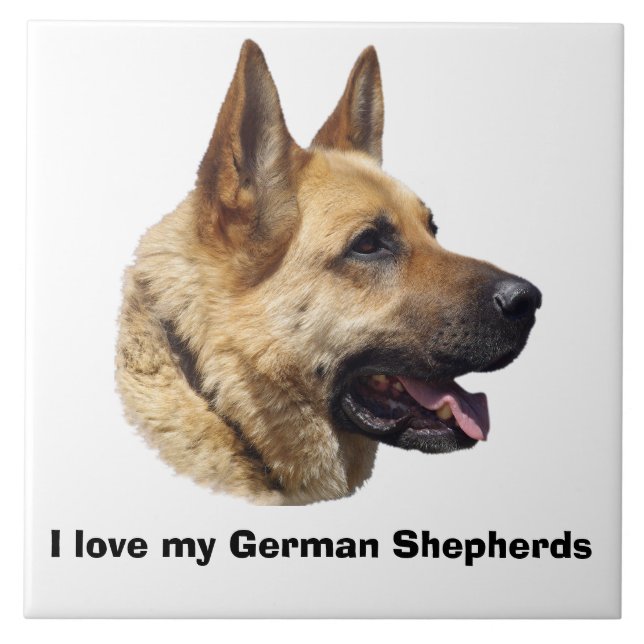 Azulejo De Cerâmica Retrato do German shepherd alsaciano (Frente)