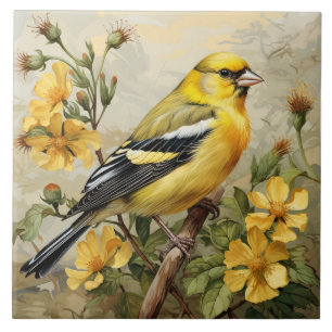 Azulejo De Cerâmica Retrato do Tentilhão Americano, Amarelo e Preto