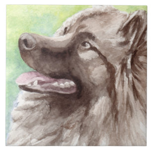 Azulejo De Cerâmica Retrato em Aquarela de Keeshond