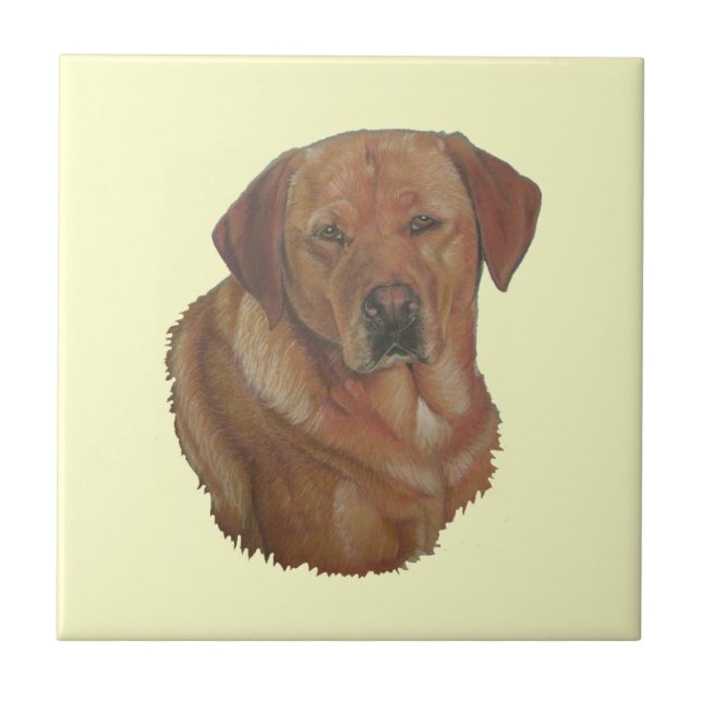 Azulejo De Cerâmica retrato raro cão labrador vermelho raro (Frente)