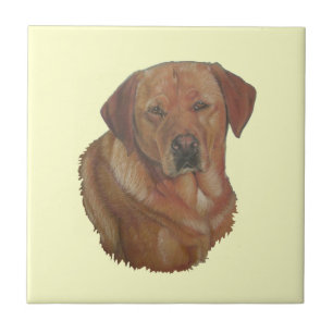 Azulejo De Cerâmica retrato retrato raro cão labrador vermelho