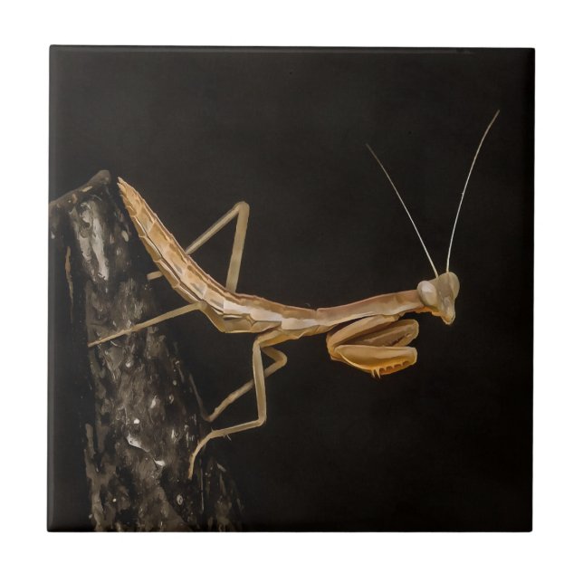 Azulejo De Cerâmica Rezando Mantis, Fofa E Arte Inseta Assustadora (Frente)